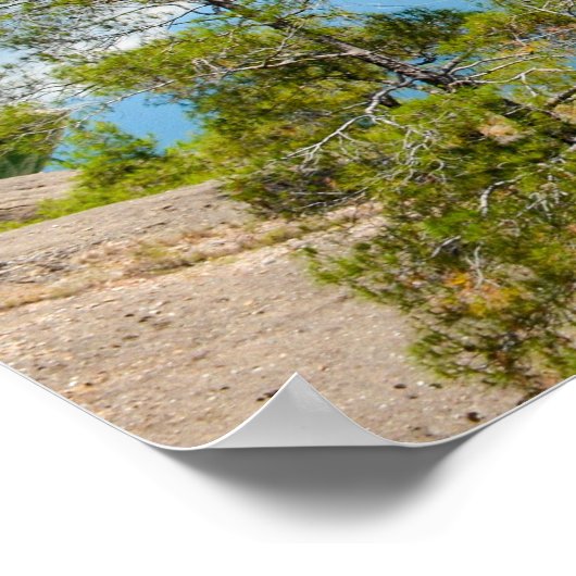 Poster Réflection du lac Scenic (Coin)