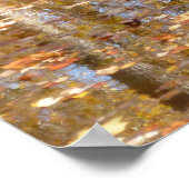 Poster Reflet dans Still Creek au Greenbelt Park (Coin)