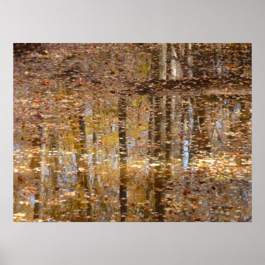 Poster Reflet dans Still Creek au Greenbelt Park (Devant)