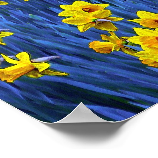 Poster Reflet des jonquilles (Coin)