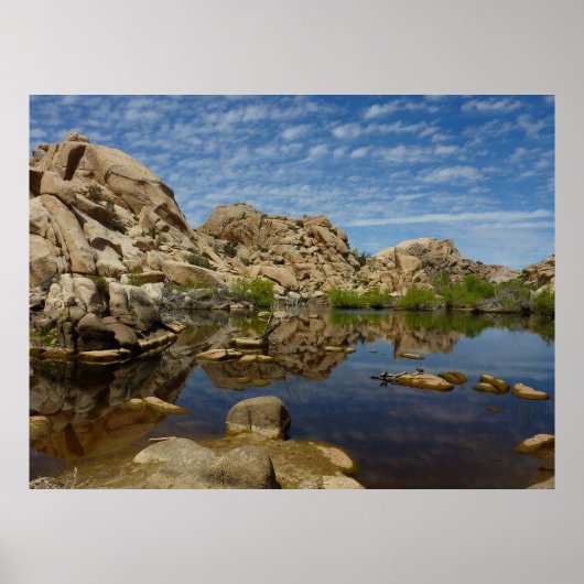 Poster Reflet du Barker Dam à Joshua Tree I (Devant)
