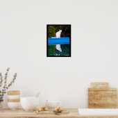 Poster Reflet d'un portrait de chat blanc (Cuisine)