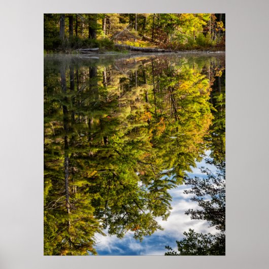 Poster Reflets dans l'étang Red Eagle | Montagnes Blanche (Devant)