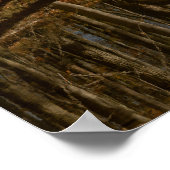 Poster Reflets d'Automne (Coin)