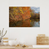 Poster Reflets d'Automne (Cuisine)