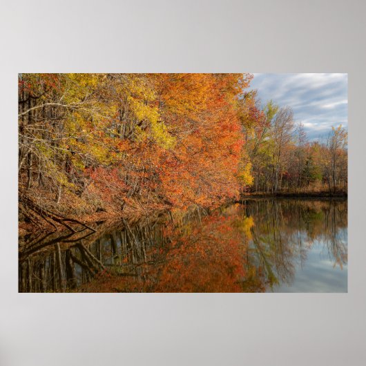 Poster Reflets d'Automne (Devant)