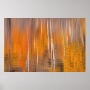 Poster Reflets d'automne sur l'étang aux castors Winthr