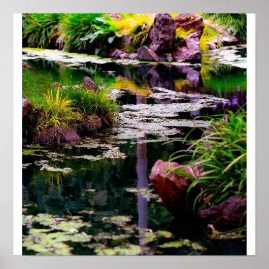 Poster Reflets de jardin (Devant)