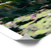 Poster Reflets de jardin (Coin)