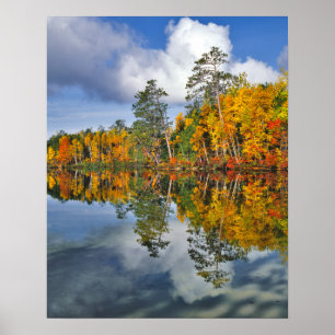 Poster Reflets d'étang en automne, Maine