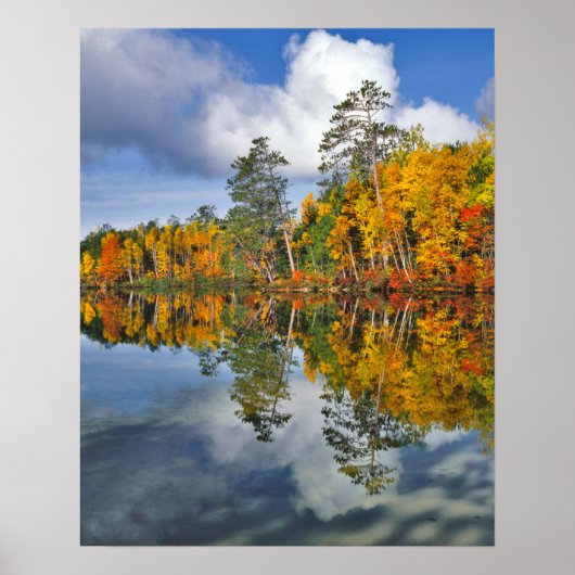 Poster Reflets d'étang en automne, Maine (Devant)