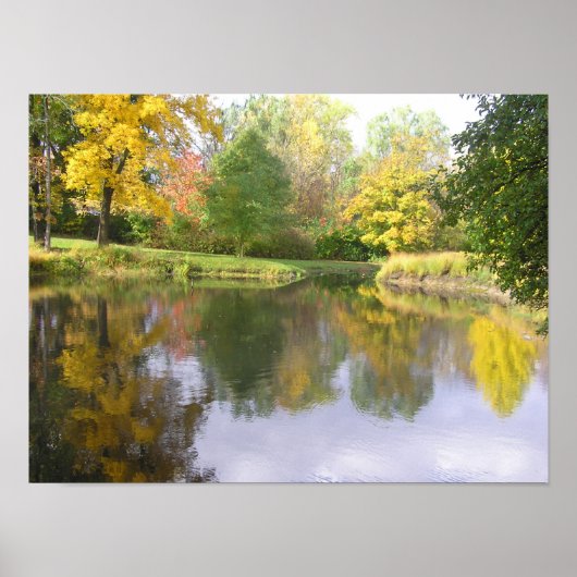 POSTER "REFLETS DORES DOUX/SURFACE DE L'ÉTANG COMME UN MI (Devant)