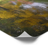POSTER "REFLETS DORES DOUX/SURFACE DE L'ÉTANG COMME UN MI (Coin)