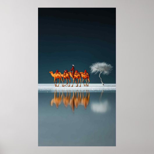 Poster Reflets du désert (Devant)