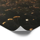 Poster Reflets du lac mystique (Coin)