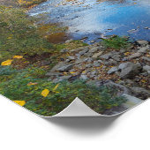 Poster Reflets glissants (Coin)
