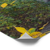 Poster Reflets glissants (Coin)