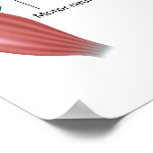 Poster Réflexe somatique, diagramme étiqueté. (Coin)