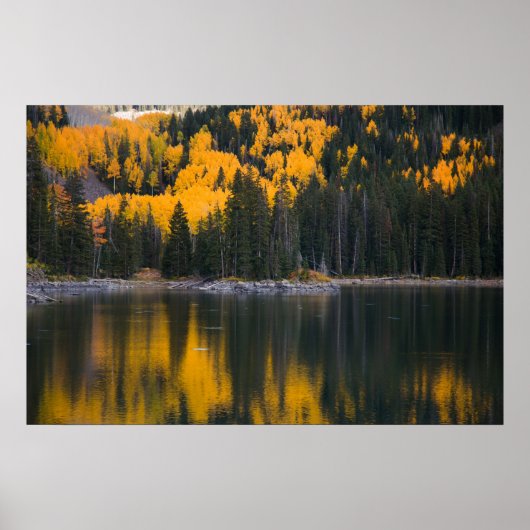 Poster Réflexion (Devant)