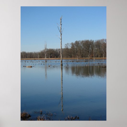 Poster Réflexion (Devant)