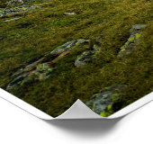 Poster Réflexion (Coin)