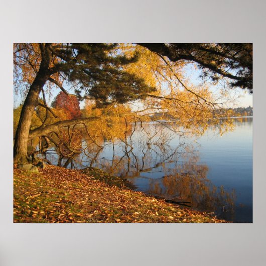 Poster Réflexion d'automne (Devant)