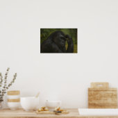 Poster Réflexion de Gorilla - Portrait réfléchi de la fau (Cuisine)