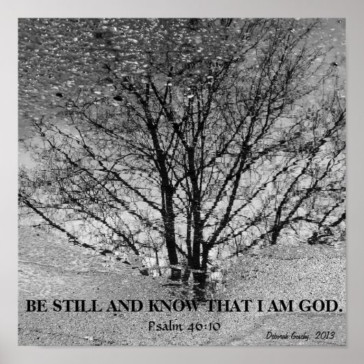 Poster Réflexion de l'arbre noir et blanc (Devant)