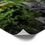 Poster Réflexion des chutes de Yosemite (Coin)