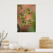 Poster Réflexion des gouttelettes d'eau (Cuisine)