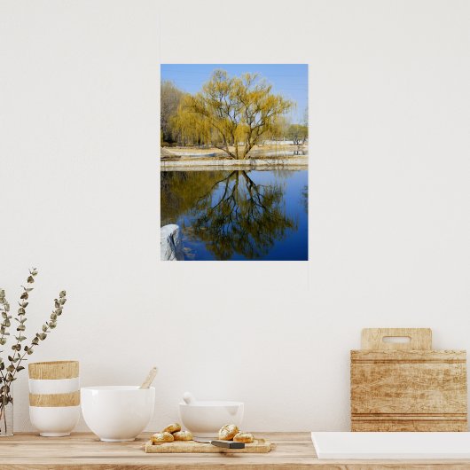 Poster réflexion des saules (Cuisine)