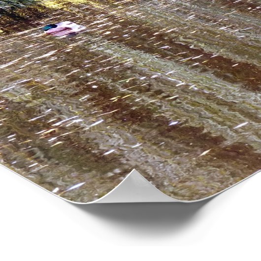 Poster Réflexion des saules (Coin)