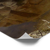 Poster Réflexion du barrage Barker à Joshua Tree I (Coin)