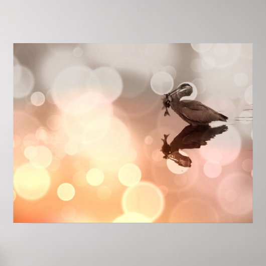 Poster Réflexion du Grand Héron Bleu Sunrise (Devant)