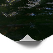 Poster Réflexion du lac de l'Ours III (Coin)