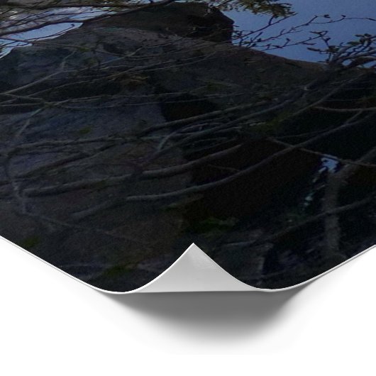 Poster Réflexion du lac Ours II (Coin)