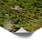 Poster Réflexion du lac Rainier avec Fleurs sauvages (Coin)