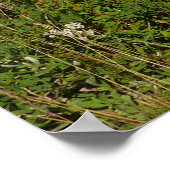 Poster Réflexion du lac Rainier avec Fleurs sauvages (Coin)