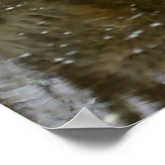 Poster Réflexion du loup (Coin)