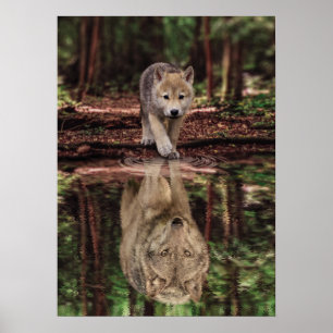 Poster Réflexion du loup et de l'eau de levage, motivatio