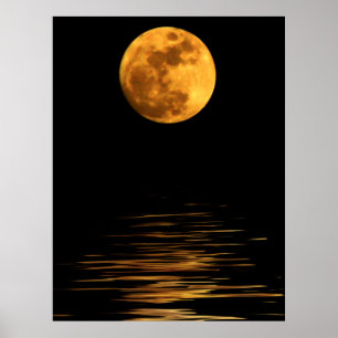Poster Réflexion d'une Pleine lune