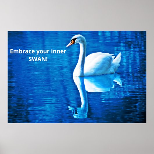 Poster Réflexion motivationnelle Réflexion cygne Bleu & B (Devant)