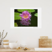 Poster Réflexion rose (Cuisine)