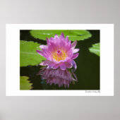 Poster Réflexion rose (Devant)