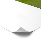 Poster Réflexion rose (Coin)