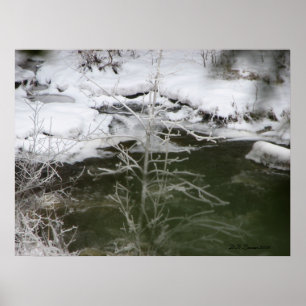 Poster Réflexion sur la glace
