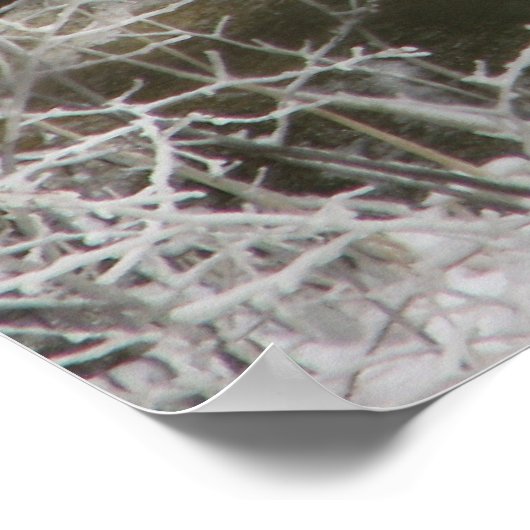 Poster Réflexion sur la glace (Coin)