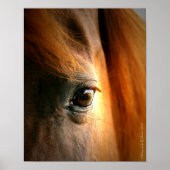 Poster Réflexions (Devant)