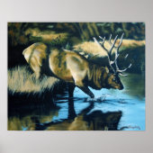 Poster Réflexions (Devant)