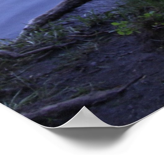 Poster Réflexions - Arbre (Coin)